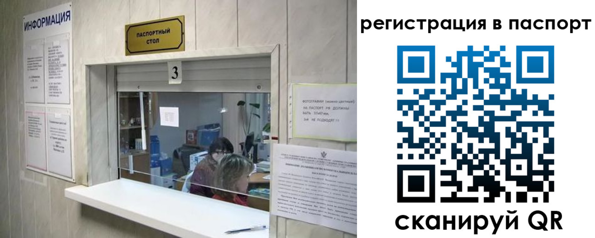 прописка поиск в Ступино